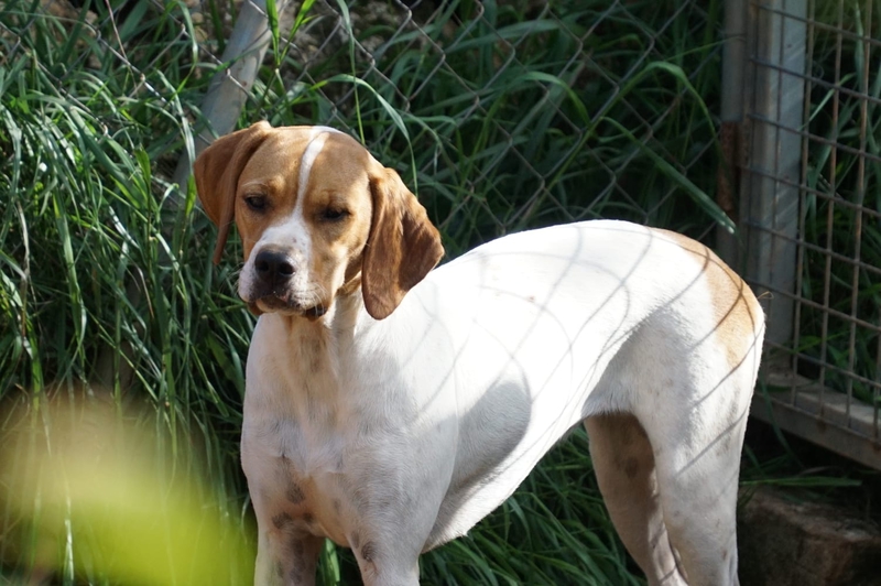 COSITA1.jpg