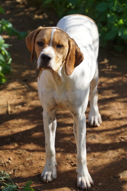 COSITA4.jpg