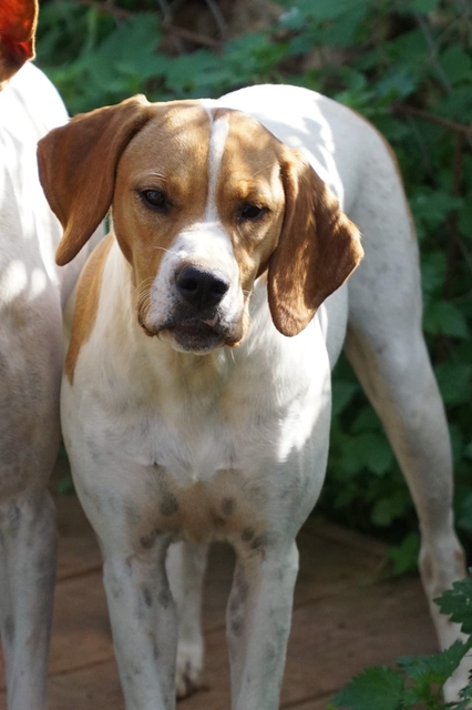 COSITA3.jpg