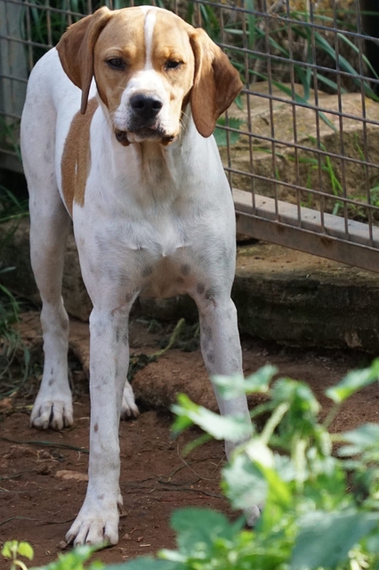 COSITA5.jpg