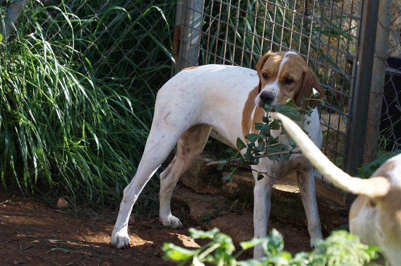COSITA9.jpg