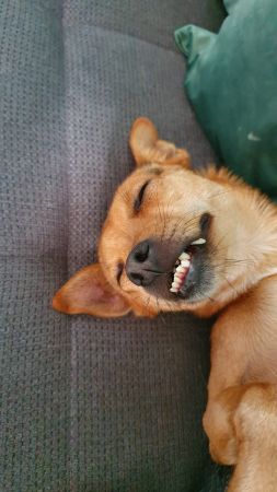 bb.jpg