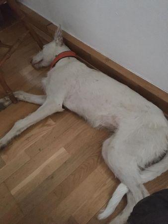 lua.jpg