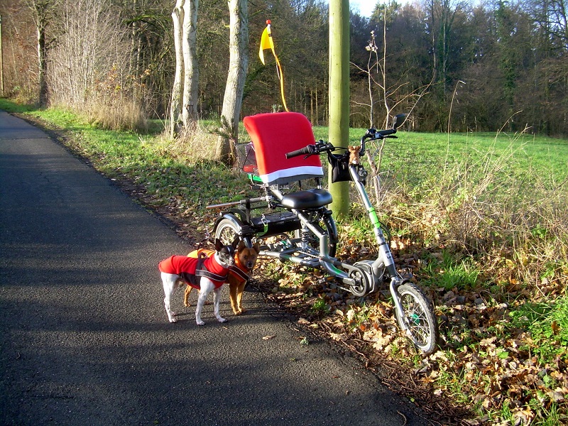 DSCN8572.JPG