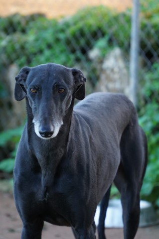 WhatsApp Image 2019-12-22 at 17.26.01.jpeg