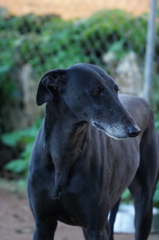 WhatsApp Image 2019-12-22 at 17.28.05.jpeg