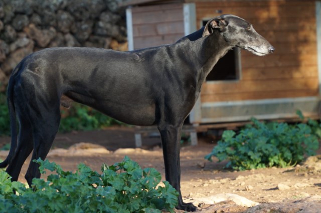 WhatsApp Image 2019-12-22 at 17.29.15.jpeg