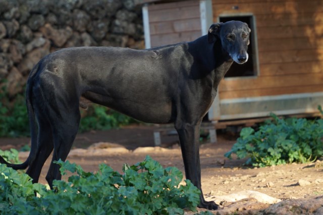 WhatsApp Image 2019-12-22 at 17.29.31.jpeg