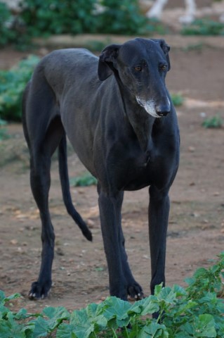 WhatsApp Image 2019-12-22 at 17.31.53.jpeg