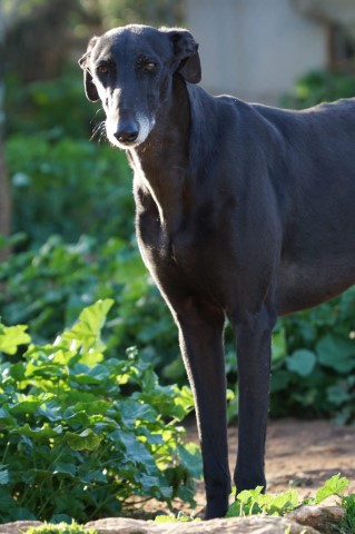 WhatsApp Image 2019-12-22 at 17.35.23.jpeg