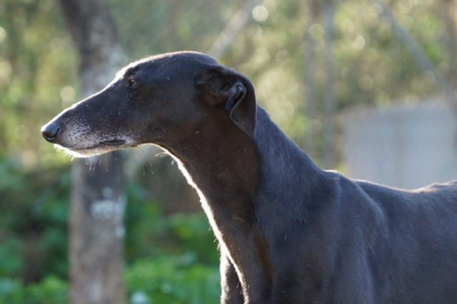 WhatsApp Image 2019-12-22 at 17.35.29.jpeg