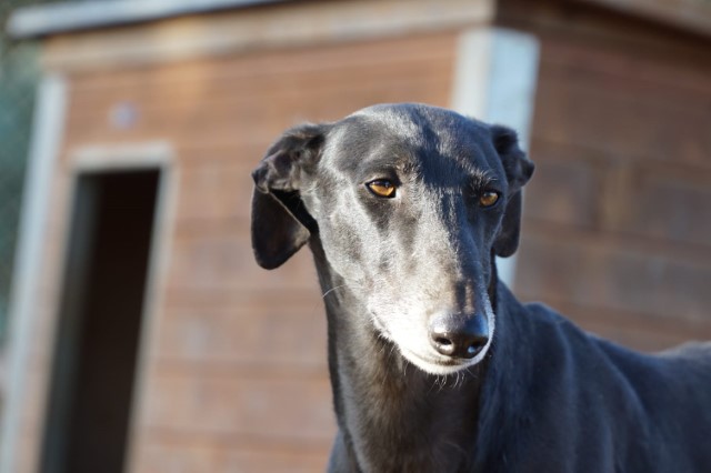 WhatsApp Image 2019-12-22 at 17.35.33.jpeg