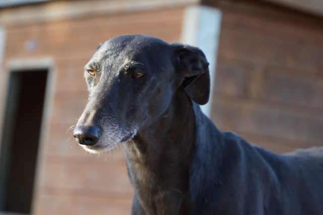 WhatsApp Image 2019-12-22 at 17.35.38.jpeg