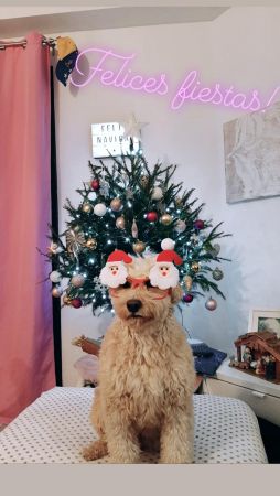 IMG-20191225-WA0011.jpg