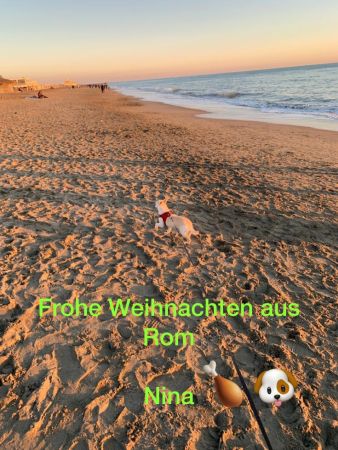 IMG-20191226-WA0008.jpg