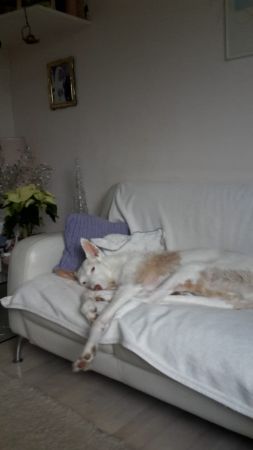 IMG-20191227-WA0001.jpg