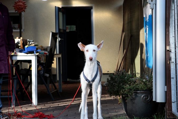 IMG-20191225-WA0032.jpg