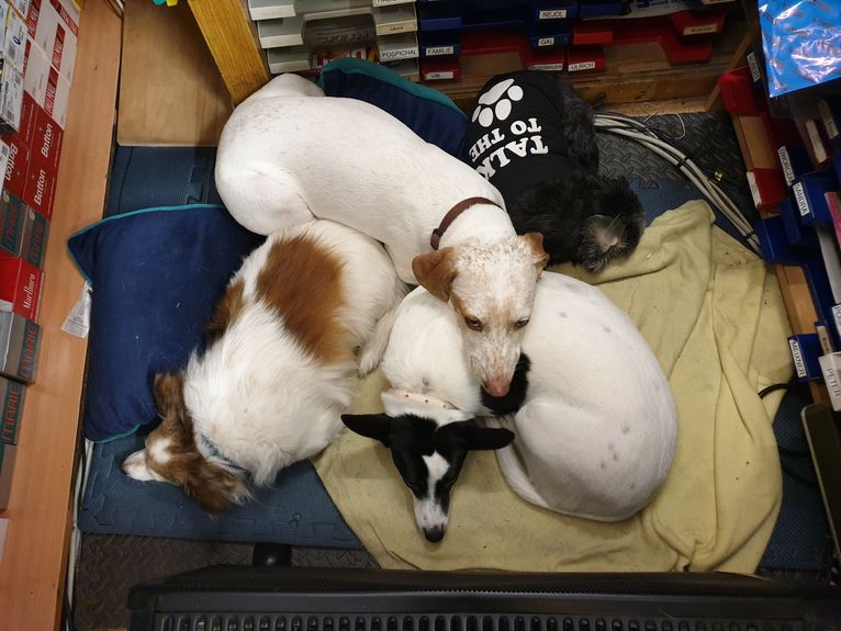 kuschelzeit (1).jpg