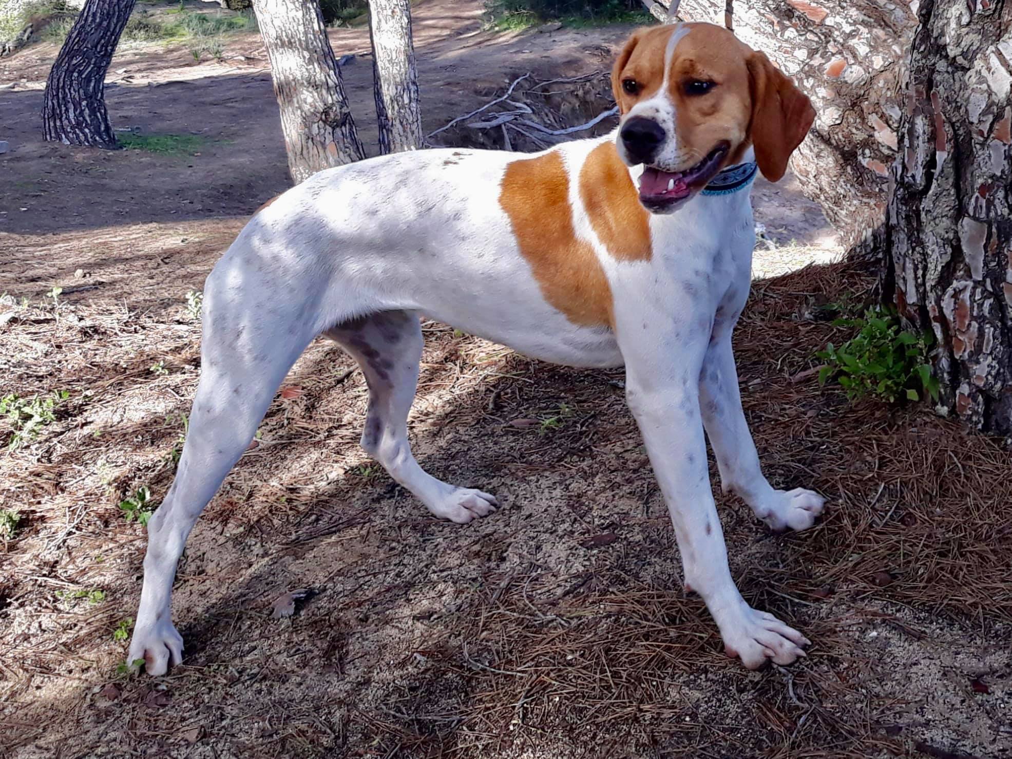 COSITA.jpg