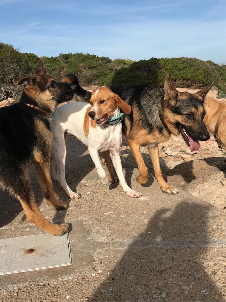 COSITA9.jpg