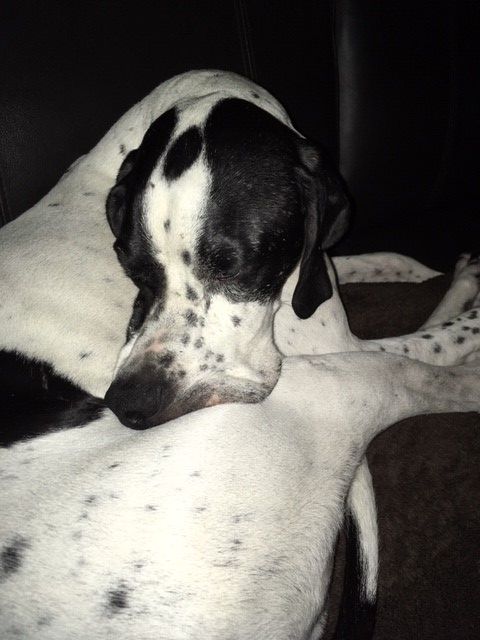 Hannes kuschelig.jpg