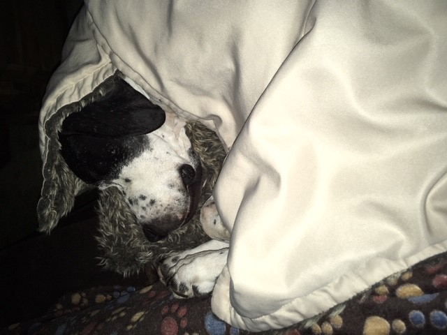 Hannes unter Decke.jpg