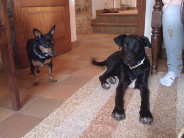 014Besuch.jpg