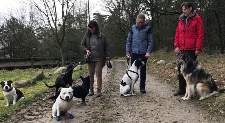 Hannes and friends.jpg
