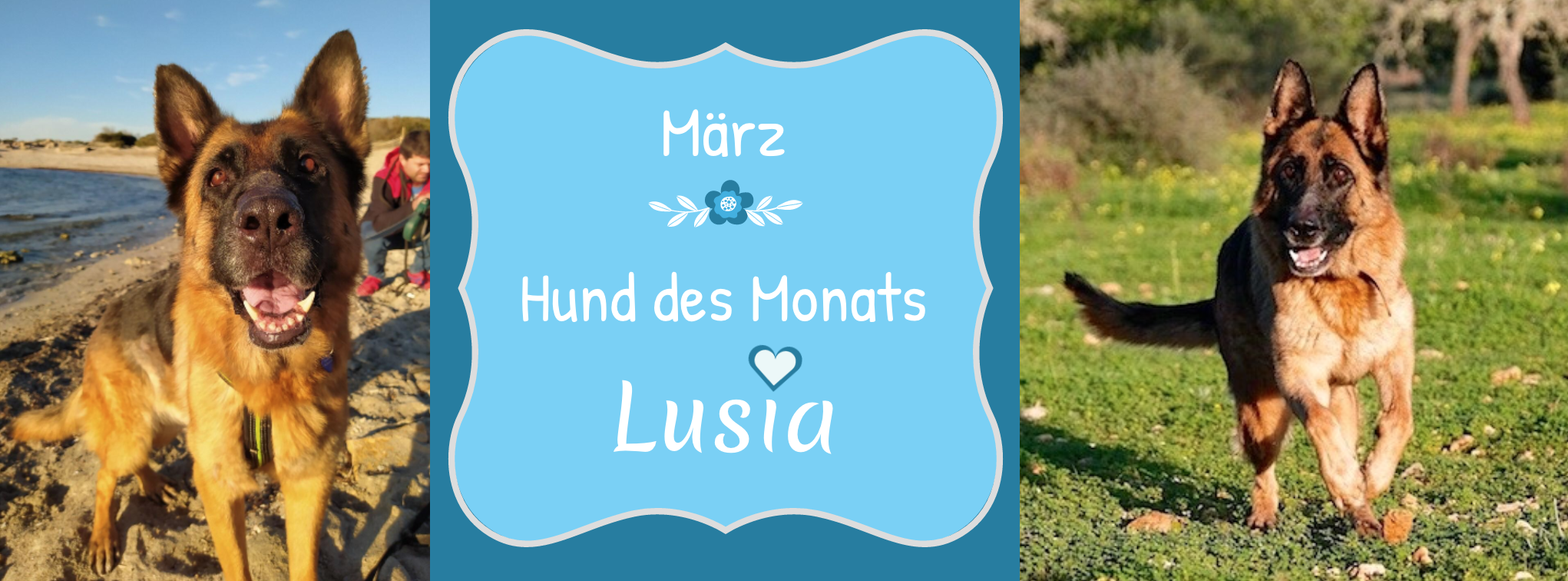 LUSIA Kopie.png