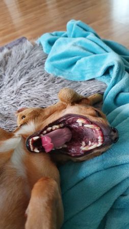 bb.jpg