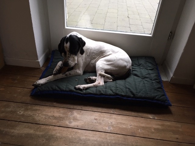 Hannes mit Kau-Holz.jpg