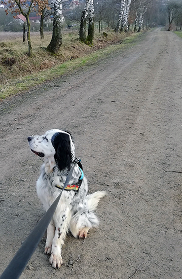 Tundres180320_04.jpg