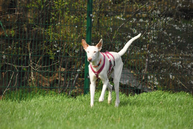 DSC_6388.jpg
