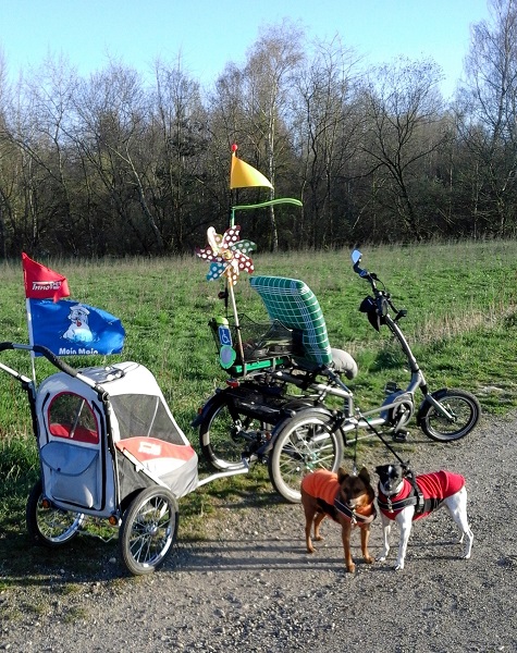 20200321_173015.jpg