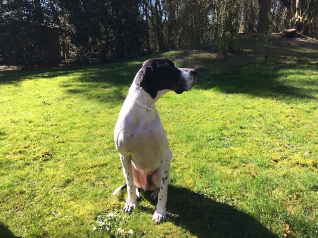 Hannes in the Sun.jpg