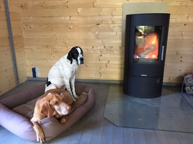 Home Office Boys.jpg