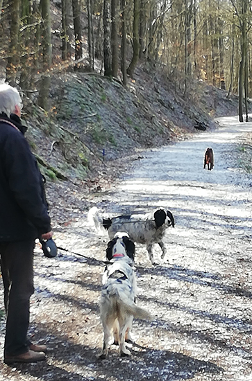 Tundres_310320_01.jpg