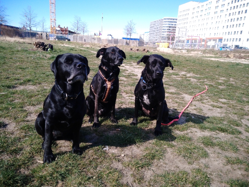 IMG_20200322_135006_resize_8.jpg