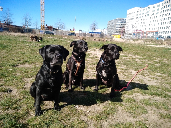 IMG_20200322_135014_resize_44.jpg