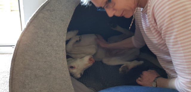 WhatsApp Image 2020-04-05 at 12.26.23.jpeg