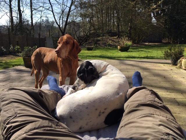 Sommerfeeling.jpg