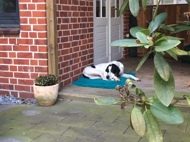 Outdoor Hannes.jpg