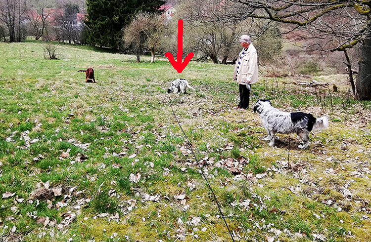 090320_02.jpg