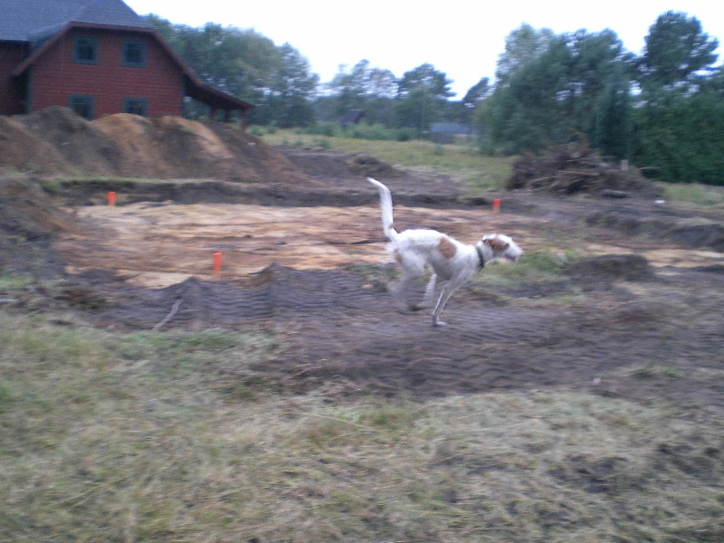 LIISU auf der Baustelle.JPG