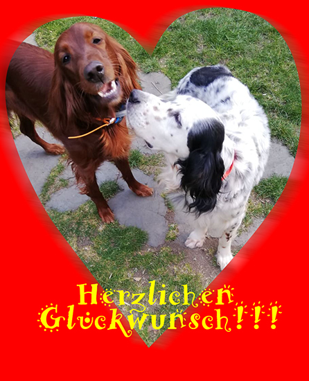Tundres_Glueckspelz_01.jpg