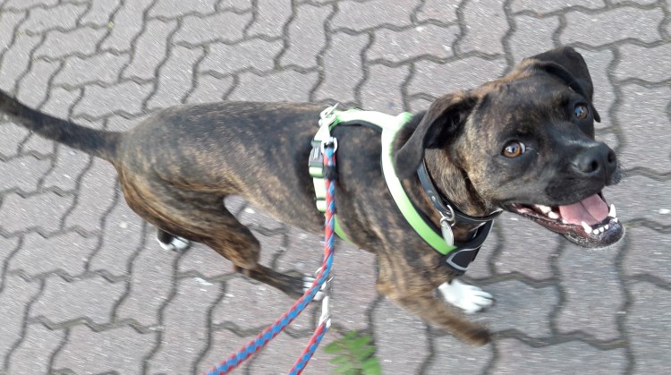 26.7.2019_201339.jpg