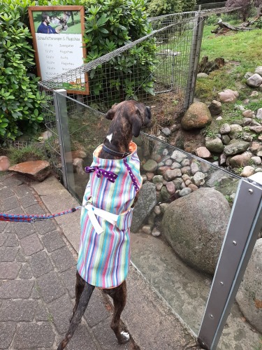 18.8.2019-WA0047.jpg