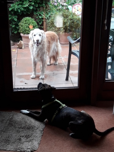 17.9.2019-WA0001.jpg