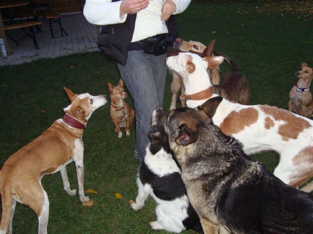 Marta bettelt.jpg