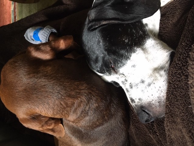 Hilde + Hannes 3.jpg